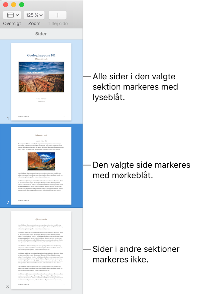 Miniatureoversigten med den valgte side fremhævet med mørkeblåt og alle siderne i den valgte sektion fremhævet med lyseblåt.