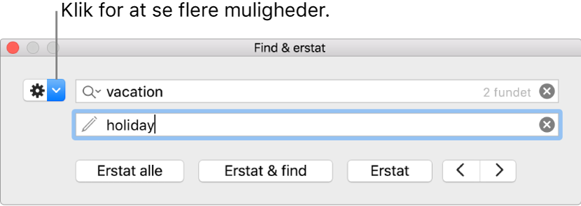 Vinduet Find & erstat med billedforklaring til knappen, der viser flere muligheder.