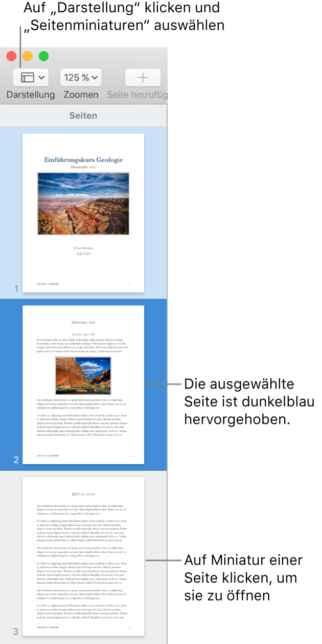 Die Seitenleiste links im Fenster „Pages“ mit der geöffneten Miniaturdarstellung der Seiten und der dunkelblau hervorgehobenen Miniatur der aktuell ausgewählten Seite.