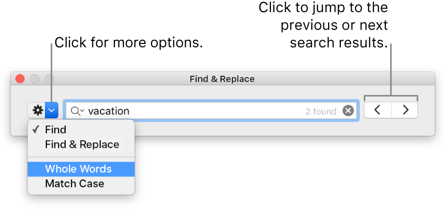 The Find and Replace window with a call out to the button, to show options for Find, Find and Replace, Whole Words and Match Case; the navigation arrows are on the right.