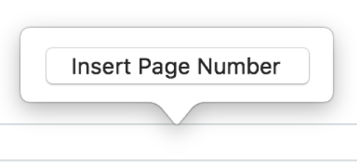 The Insert Page Number pop over above the footer.