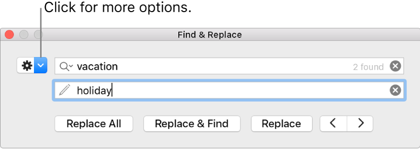 The Find and Replace window with a call out to the button to show more options.