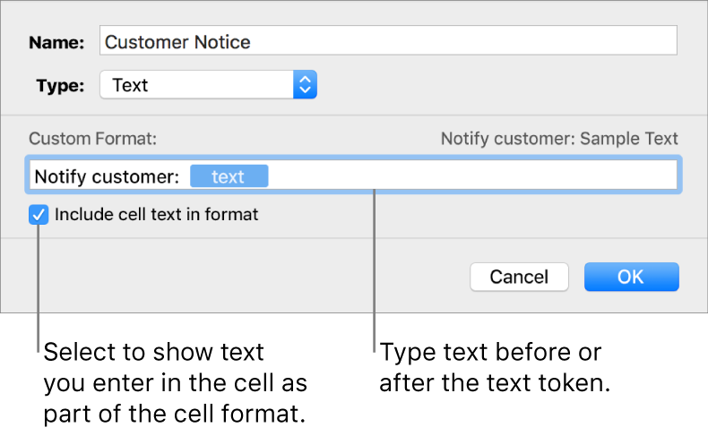 The custom cell format window with controls for choosing custom text formatting.