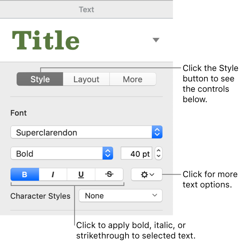 italic bold bold italic and underline are examples of