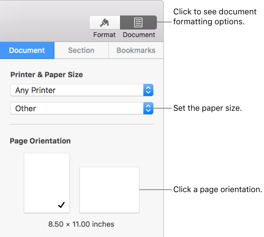 Controls for setting paper size and orientation.