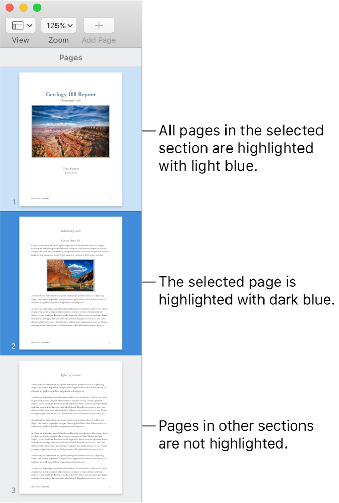 The Thumbnail View sidebar with the selected page highlighted in dark blue and all pages in the selected section highlighted in light blue.