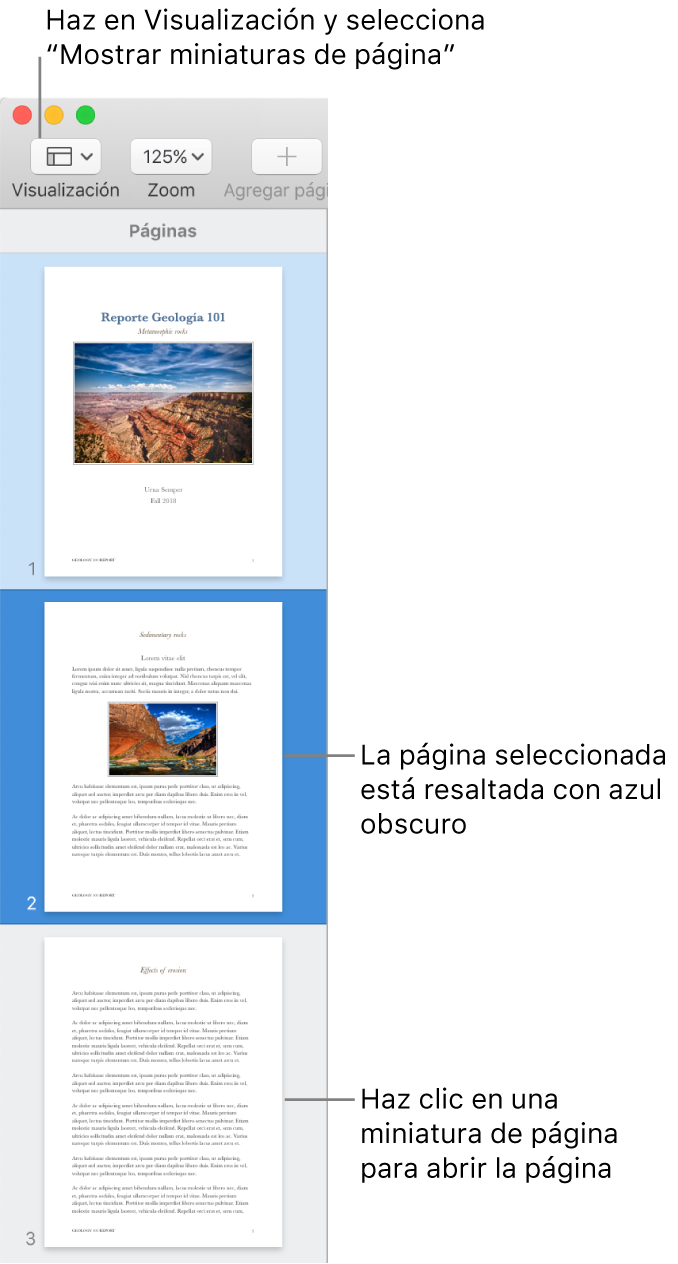 La barra lateral a la izquierda de la ventana de Pages con la visualización de miniaturas de página abierta, y una página seleccionada que se resalta en azul oscuro.