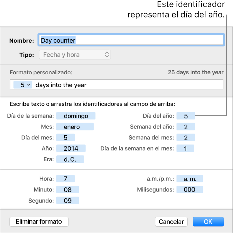 La ventana de formato de celda personalizado con controles para seleccionar formatos de fecha y hora personalizados.