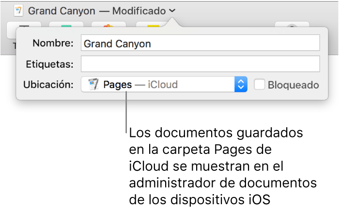 El cuadro de diálogo Guardar de un documento abierto con "Pages — iCloud" se encuentra en el menú desplegable Dónde.