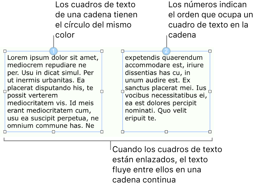 Dos cuadros de texto con círculos azules en la parte superior y los números 1 y 2 dentro de los círculos.