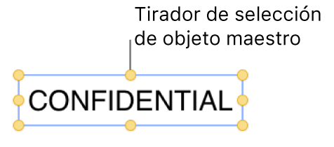 Un objeto con tiradores de selección.