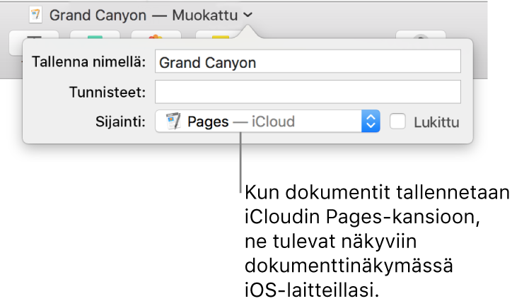 Tallenna-valintaikkuna dokumentille, jonka Missä-ponnahdusvalikossa on Pages – iCloud.