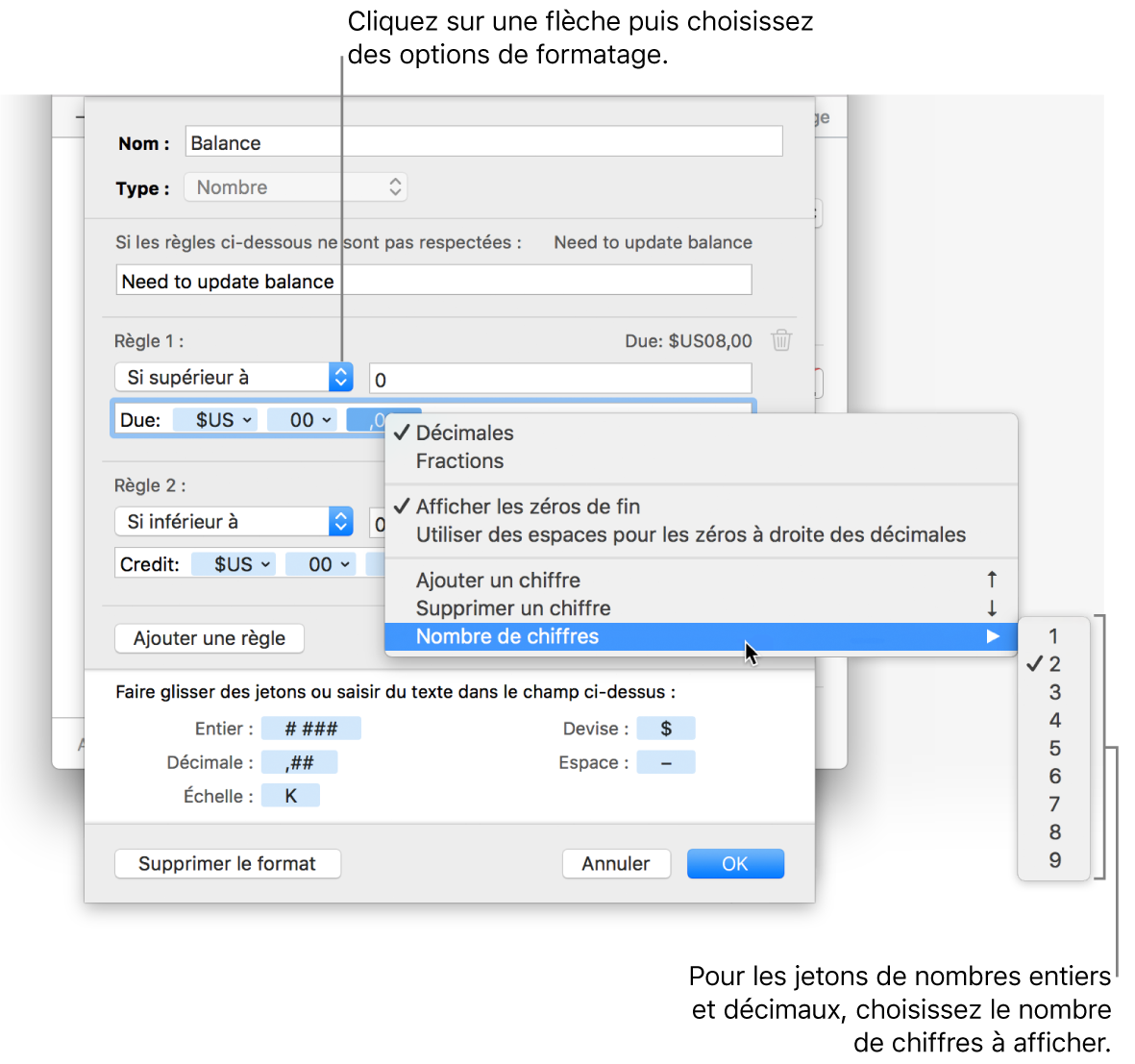 La fenêtre de format de cellule personnalisé présentant les commandes permettant de choisir des options de mise en forme personnalisée.