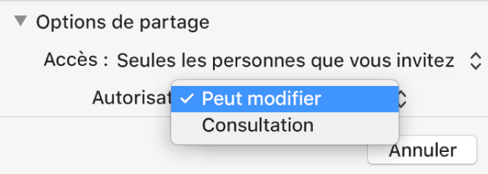 Section Options de partage de la zone de dialogue de collaboration avec le menu local Autorisation ouvert et l’option « Peut modifier » sélectionnée.