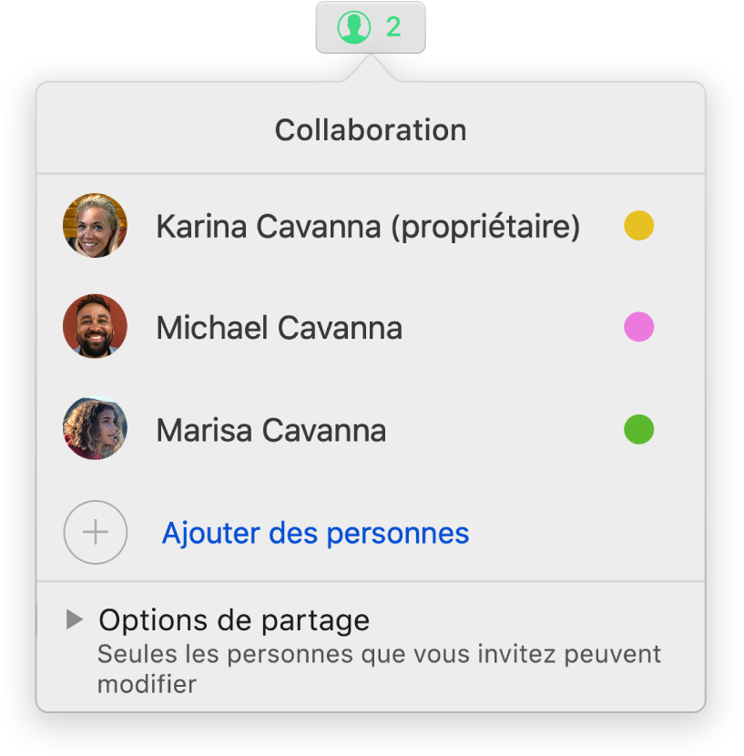 Le menu Collaboration affichant le nom des personnes qui collaborent sur le document. Les options de partage se trouvent sous les noms.