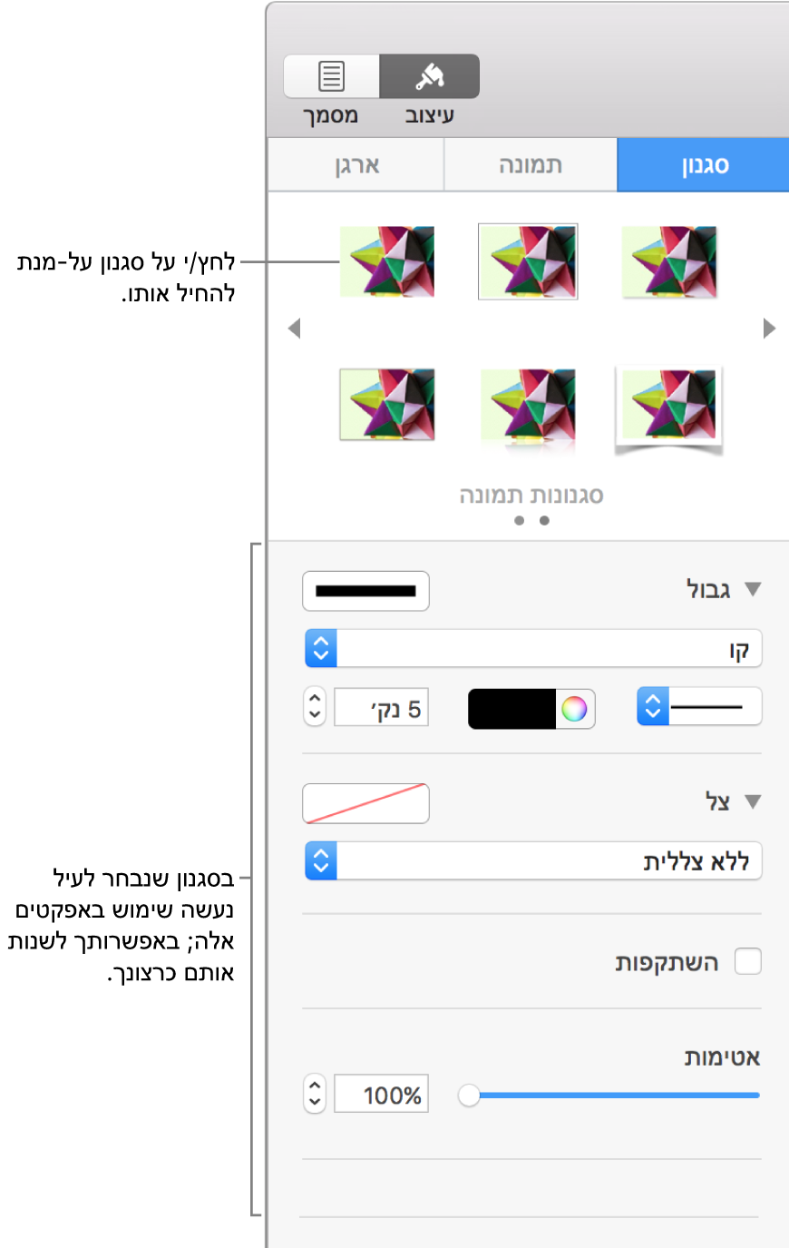 הכרטיסיה ״סגנון״ בסרגל הצד ״עיצוב״ מציגה אפשרויות עבור סגנונות אובייקטים.