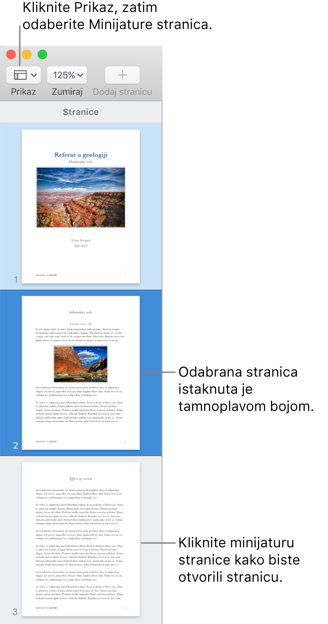 Rubni stupac s lijeve strane prozora aplikacije Pages s otvorenim prikazom minijatura stranica i odabranom stranicom označenom tamnoplavom bojom.