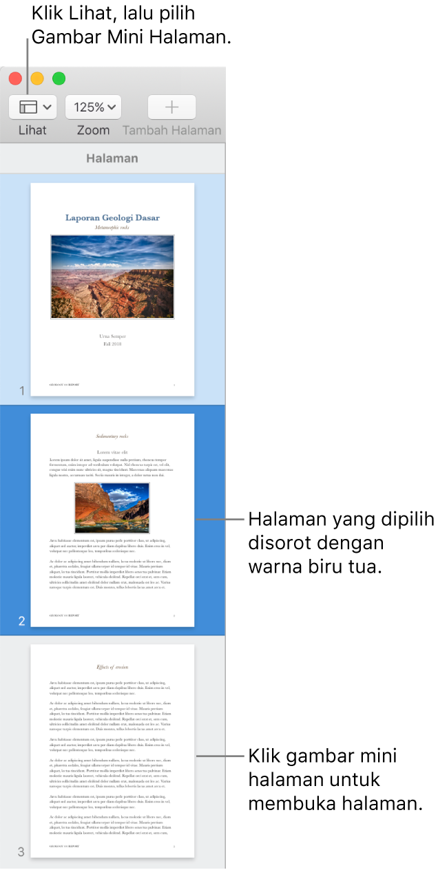 Bar samping di sisi kiri jendela Pages dengan tampilan Gambar Mini Halaman dan halaman yang dipilih disorot dalam biru tua.