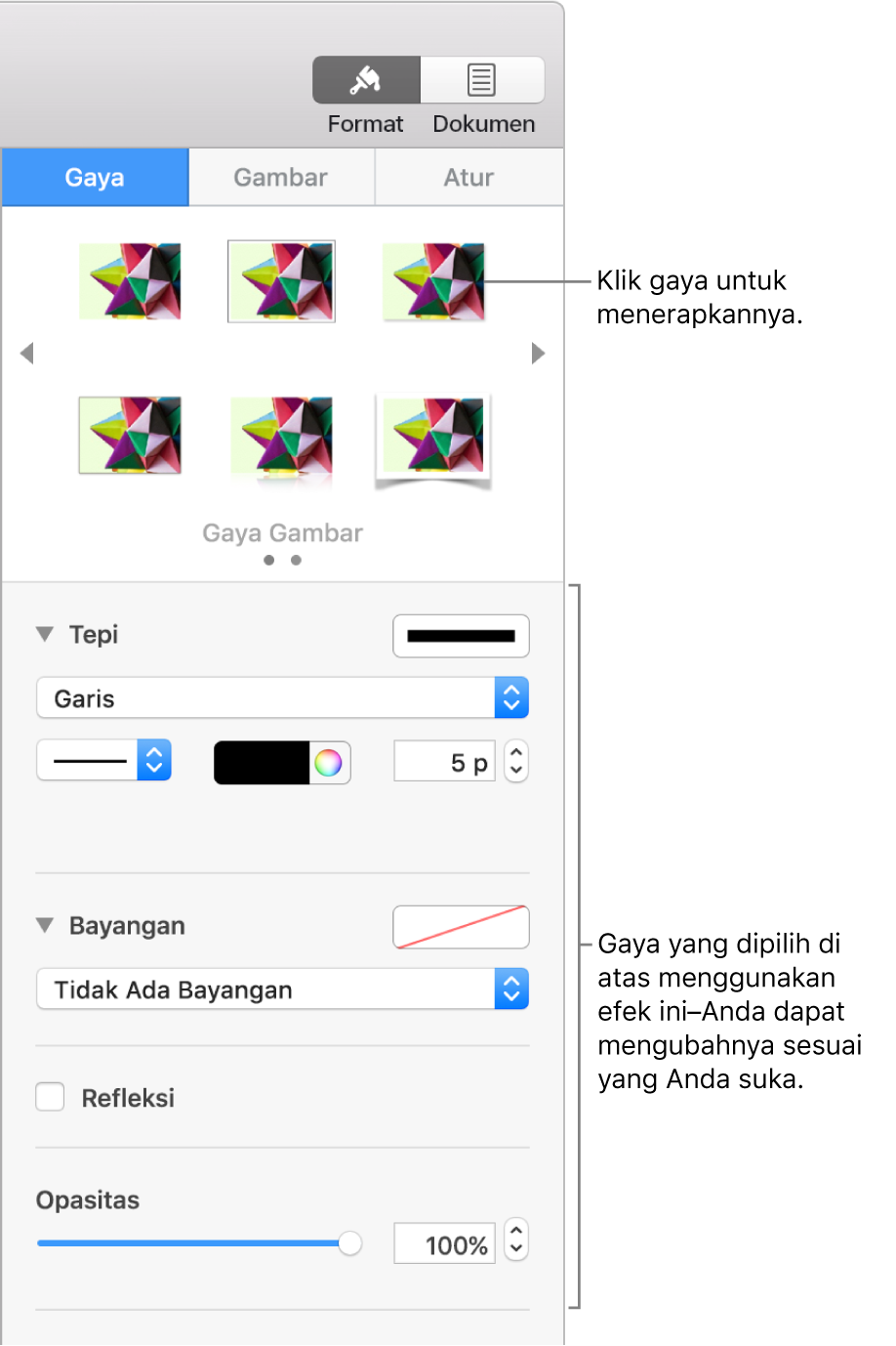 Tab Gaya pada bar samping Format menampilkan pilihan gaya objek.