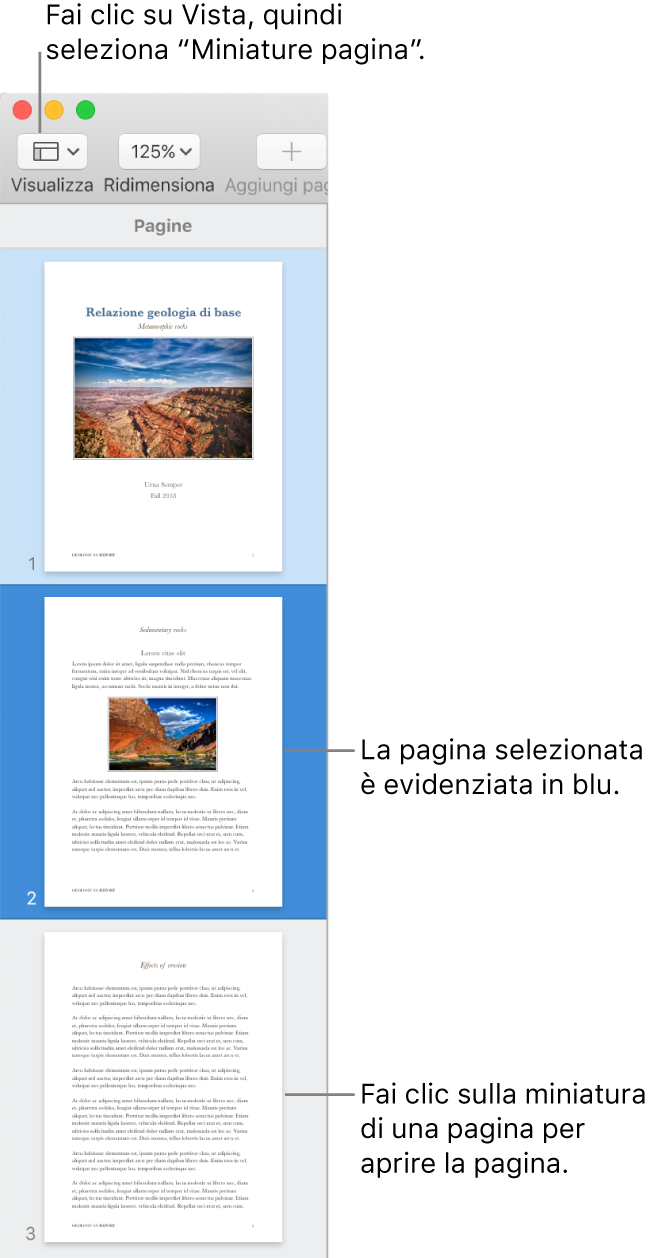 La barra laterale sul lato sinistro della finestra di Pages con la vista “Miniature pagina” aperta e una pagina selezionata evidenziata in blu scuro.