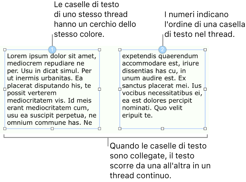 Due caselle di testo con cerchi blu nella parte superiore e i numeri 1 e 2 nei cerchi.