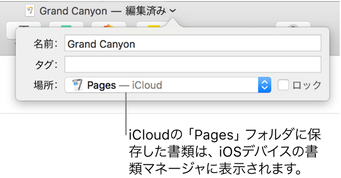 書類の「保存」ダイアログ。「場所」ポップアップメニューで「Pages — iCloud」が選択されている状態。