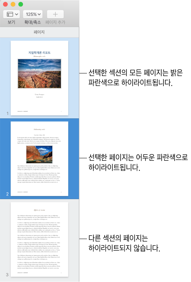 어두운 파란색으로 하이라이트된 선택한 페이지와 선택한 섹션의 모든 페이지가 밝은 파란색으로 하이라이트된 축소판 보기 사이드바.