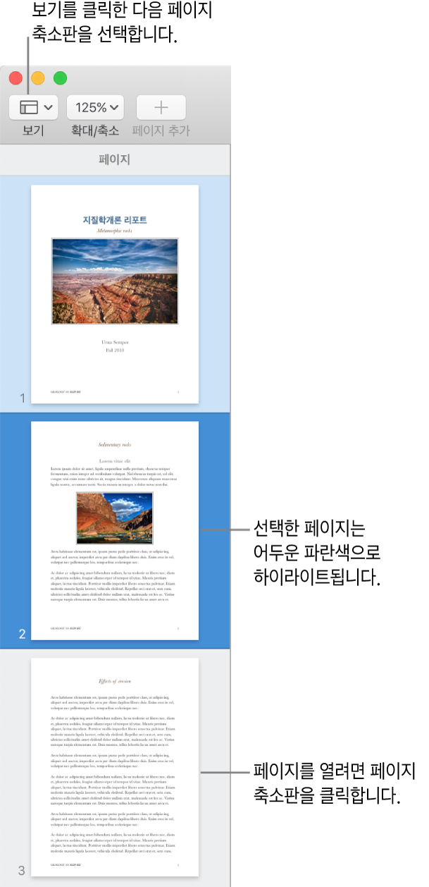 페이지 축소판 보기가 열려 있고 선택된 페이지가 어두운 파란색으로 하이라이트된 Pages 윈도우 왼쪽 측면의 사이드바.