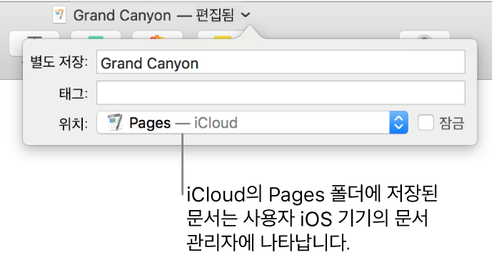 Pages 문서의 저장 대화상자—위치 팝업 메뉴 안의 iCloud.