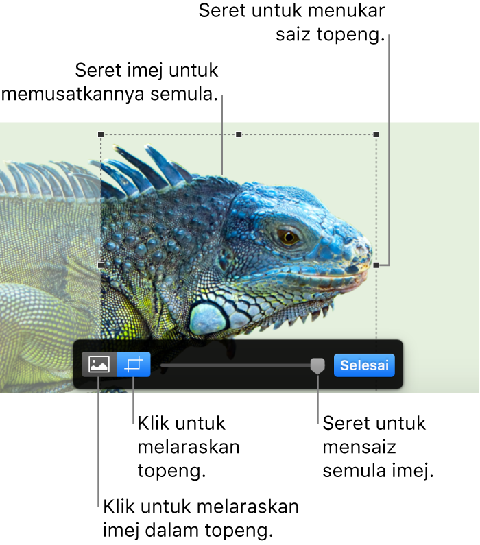 Kawalan topeng atas foto.