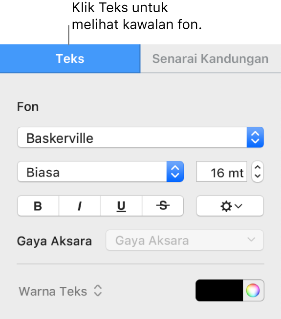 Bar sisi Format dengan tab Teks dipilih dan kawalan fon untuk menukar fon, saiz fon dan menambah gaya aksara.