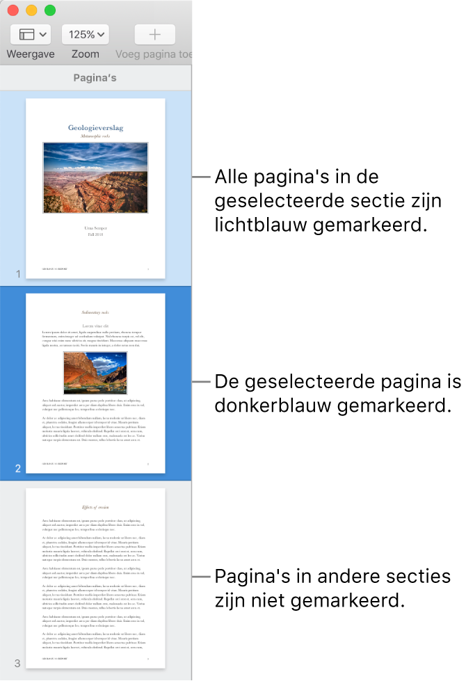 De miniatuurweergave met de geselecteerde pagina donkerblauw gemarkeerd en alle andere pagina's in de geselecteerde sectie lichtblauw gemarkeerd.