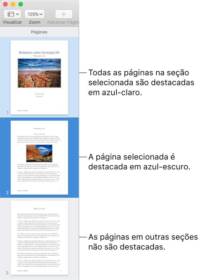 Barra lateral Visualização de Miniaturas, com a página selecionada destacada em azul escuro e todas as páginas da seção selecionada destacadas em azul claro.