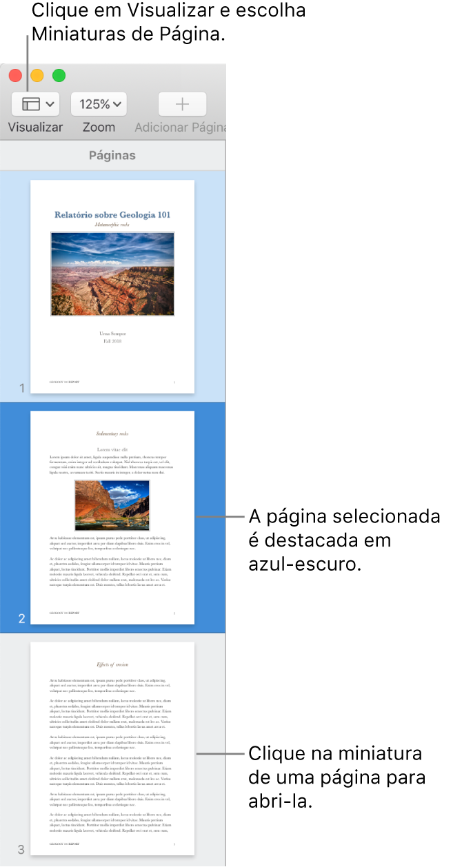 Barra lateral no lado esquerdo da janela do Pages, com a visualização de Miniaturas de Página aberta e uma página selecionada destacada em azul escuro.