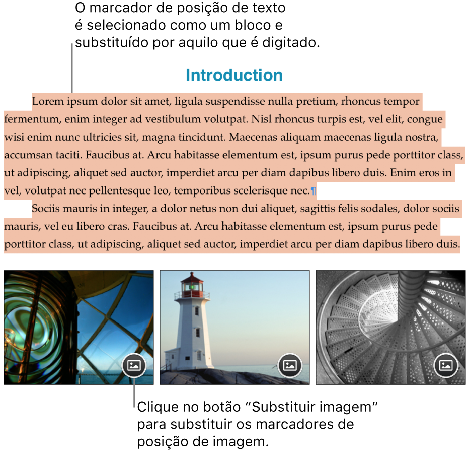 Texto e imagens do marcador de posição.