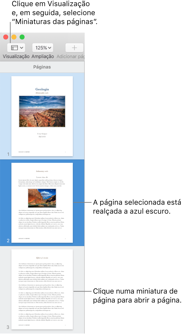 A barra lateral no lado esquerdo da janela do Pages com a vista de miniaturas das páginas aberta e uma página selecionada destacada a azul escuro.
