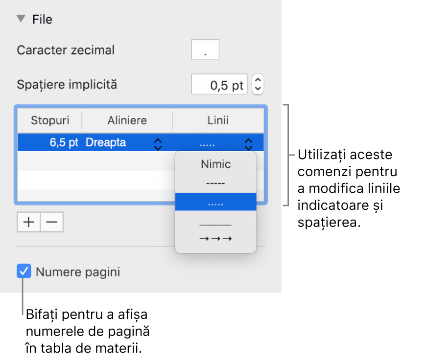 Secțiunea File din bara laterală Format. Sub Spațiere implicită se află un tabel cu coloanele Stopuri, Aliniere și Linii. Sub tabel apare bifată o casetă de validare Numere pagini.