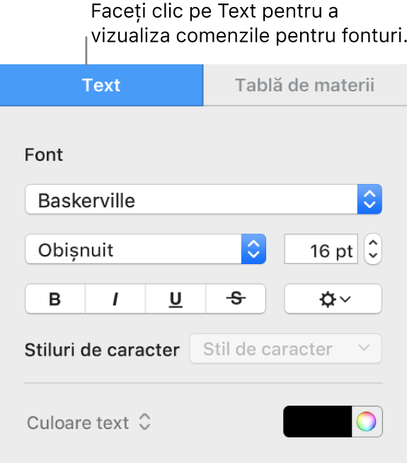 Bara laterală Format cu fila Text selectată și comenzile pentru modificarea fontului, a dimensiunii fontului și adăugarea stilurilor de caracter.