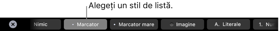 Bara Touch Bar de pe MacBook Pro, cu comenzi pentru alegerea unui stil de listă.