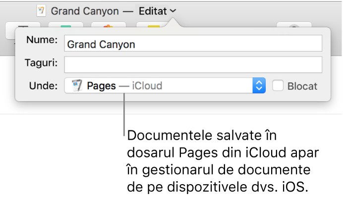 Dialogul Salvează aferent unui document cu Pages—iCloud în meniul pop-up Unde.