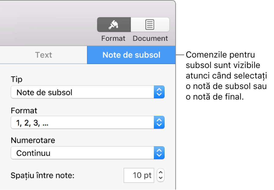 Panoul Note de subsol afișează meniuri pop-up pentru Tip, Format, Numerotare și spațiu între note.
