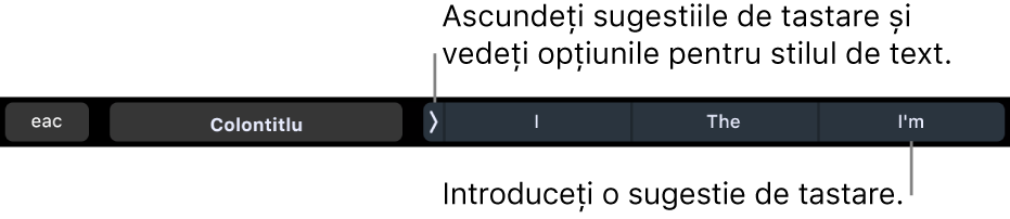 Bara Touch Bar de pe MacBook Pro, cu comenzi pentru alegerea unui stil de text, pentru ascunderea sugestiilor de scriere și pentru inserarea sugestiilor de scriere.