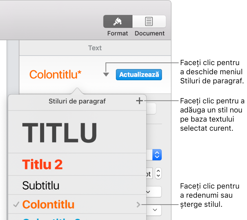 Meniul Stiluri de paragraf afișând comenzi de adăugare sau modificare a unui stil.