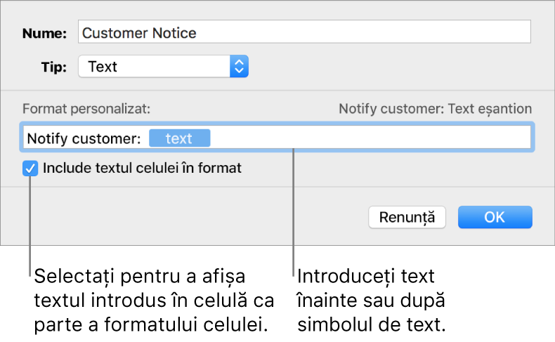 Fereastra de formatare personalizată a celulei, cu comenzi pentru alegerea formatării personalizate a textului.