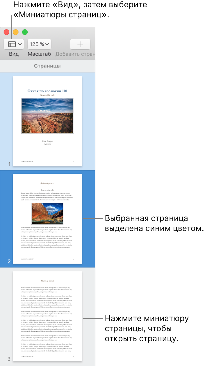 Боковое меню в левой части окна Pages. Открыта панель «Миниатюры страниц», выбранная страница выделена синим цветом.