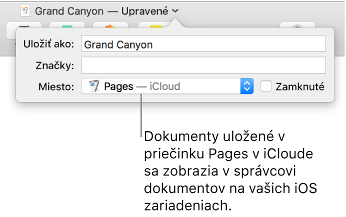 Dialógové okno Uložiť dokumentu Pages – iCloud vo vyskakovacom menu Miesto.