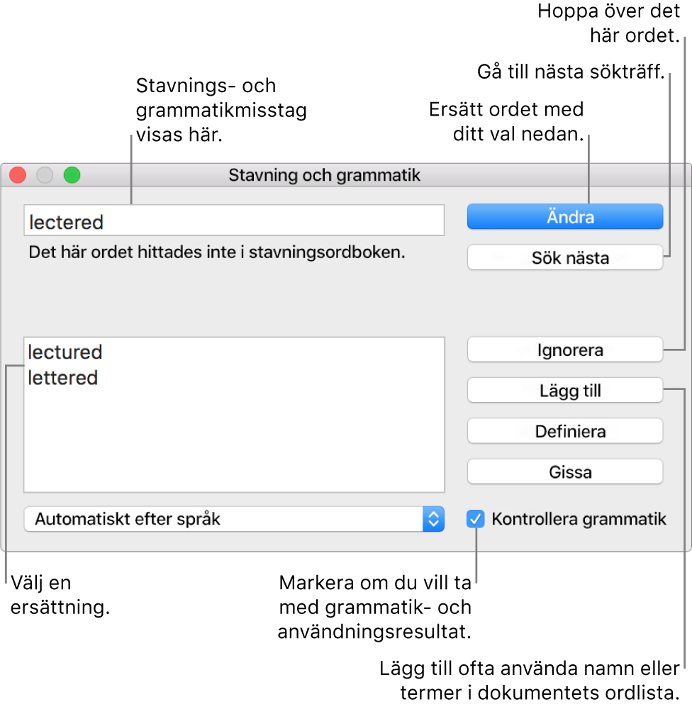 Fönstret Stavning och grammatik.