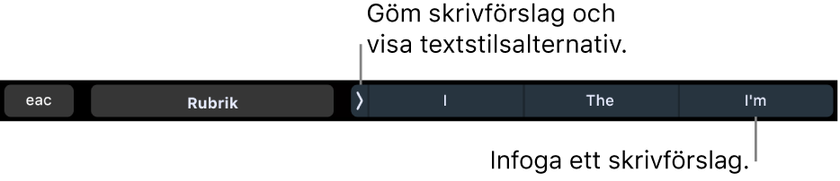 Touch Bar på MacBook Pro med reglage för att välja en textstil, gömma skrivförslag och infoga skrivförslag.
