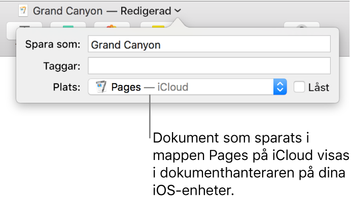 Dialogrutan Spara för ett dokument med Pages – iCloud i popupmenyn Plats.