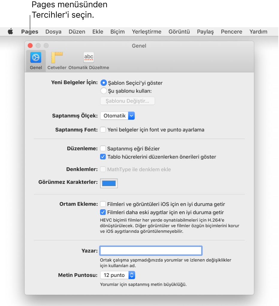 Pages tercihler penceresi Genel bölmesinde açılır.